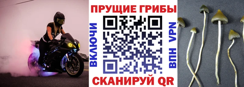 Псилоцибиновые грибы ЛСД Анадырь