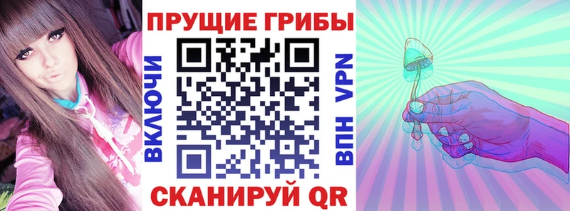 Псилоцибиновые грибы Psilocybine cubensis  Купить где  Анадырь 